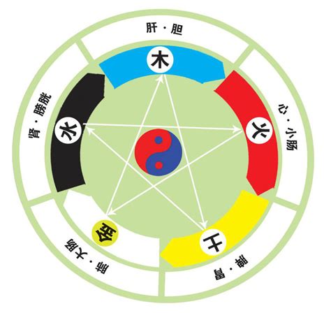 五行是哪五行|五行